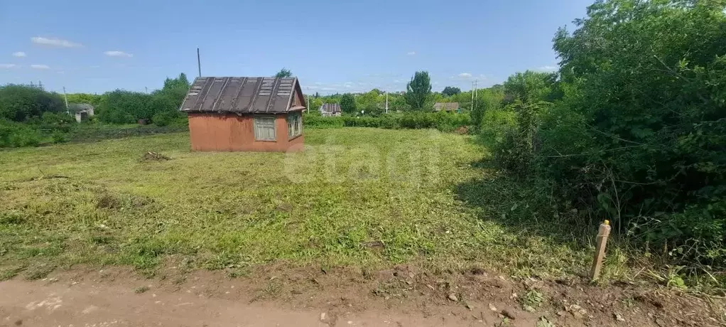 Участок в Татарстан, Альметьевск Буровик-1 СТ, 123 (6.47 сот.) - Фото 2