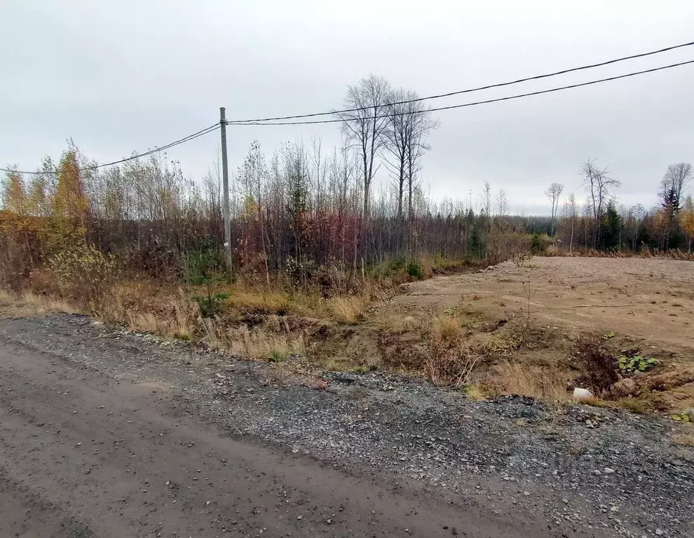 Участок в Карелия, Петрозаводск ул. Алексея Фофанова (10.0 сот.) - Фото 1