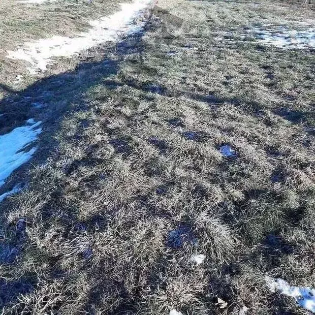 Участок в Белгородская область, Белгородский район, Дубовское с/пос, ... - Фото 0