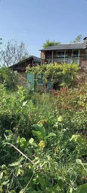 Участок в Ростовская область, Батайск Донская Чаша садовое ... - Фото 1