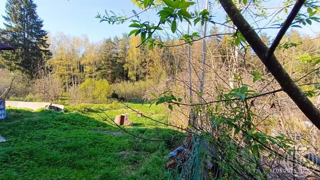 Участок в Ленинградская область, Всеволожский район, Рахьинское ... - Фото 2