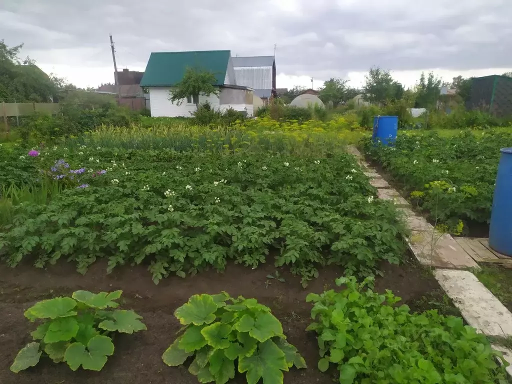 Дача Снт Рассвет Петровка Купить