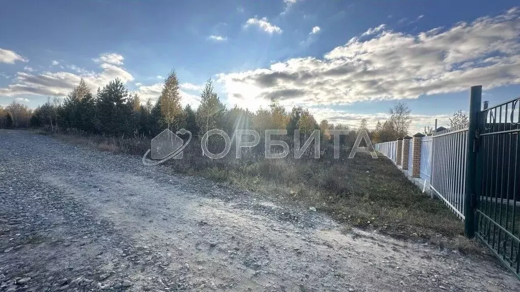 Участок в Тюменская область, Тюменский муниципальный округ, д. Якуши ... - Фото 1