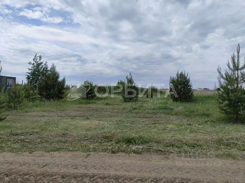 Участок в Тюменская область, Тюменский муниципальный округ, Садовые ... - Фото 1