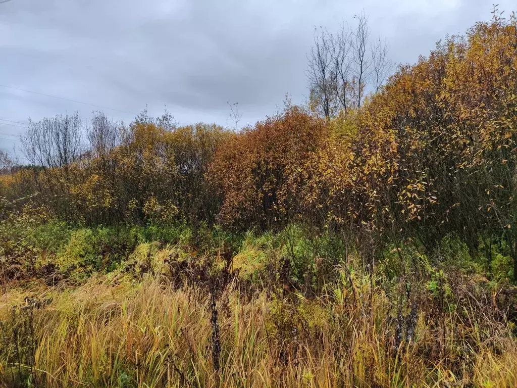 Участок в Московская область, Одинцовский городской округ, с. ... - Фото 1