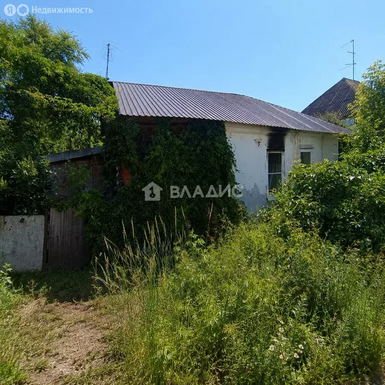 Участок в Воронеж, улица Маяковского, 5 (6.5 м) - Фото 1