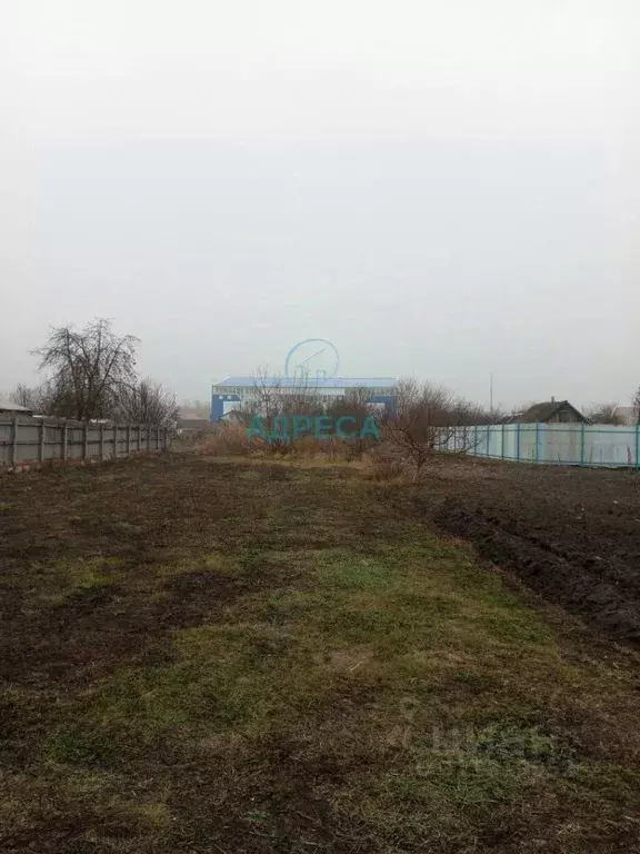 Участок в Белгородская область, Поселок Чернянка городское поселение, ... - Фото 1