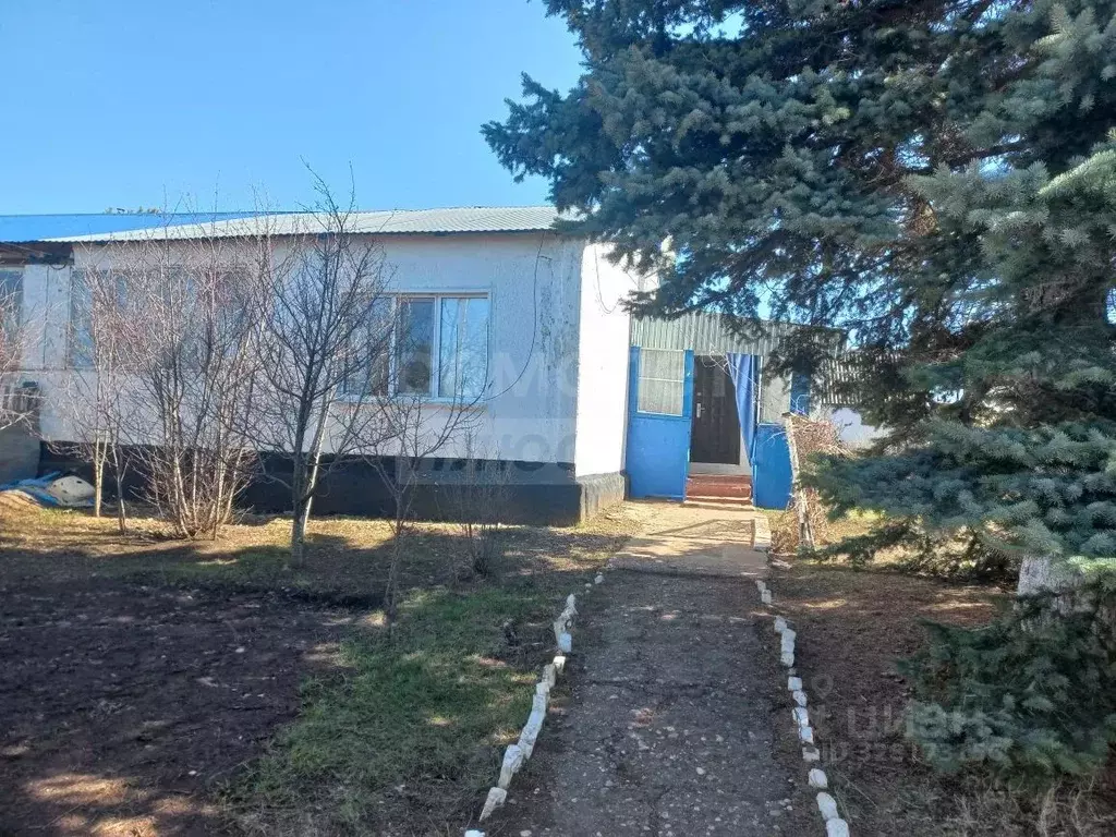 Дом в Оренбургская область, Новосергиевский район, с. Кувай 13 (70 м) - Фото 1