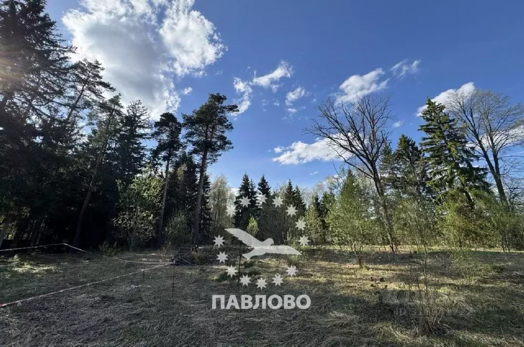 Участок, 30 сот., поселения (ижс) - Фото 0