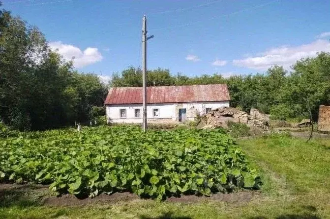 Дом в Липецкая область, Задонский район, Скорняковский сельсовет, с. ... - Фото 0