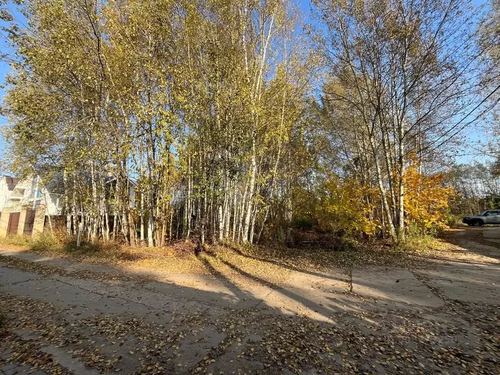 Участок в Московская область, Щелково городской округ, пос. Образцово ... - Фото 0