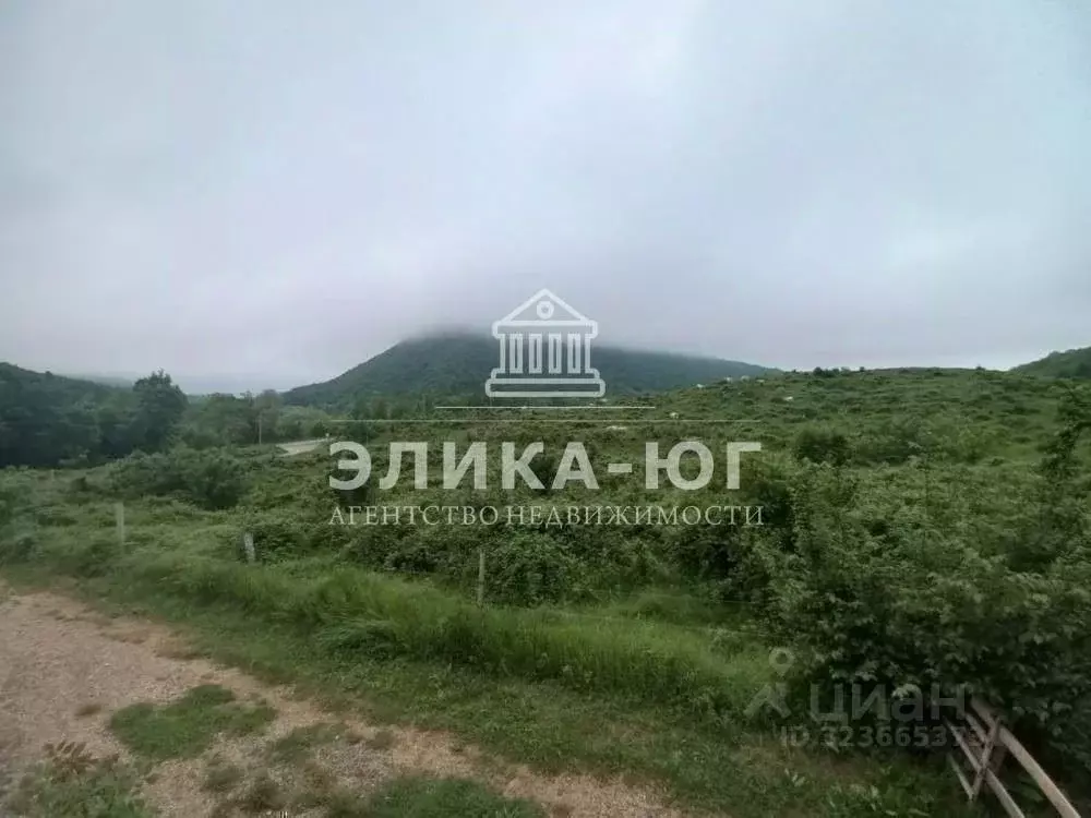 Участок в Краснодарский край, Туапсинский муниципальный округ, с. Бжид ... - Фото 1