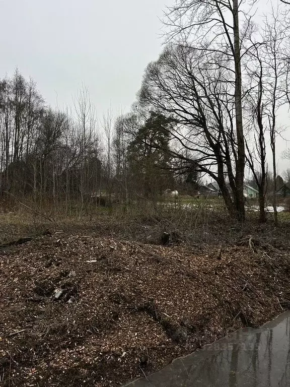 Участок в Ленинградская область, Гатчинский муниципальный округ, д. ... - Фото 1