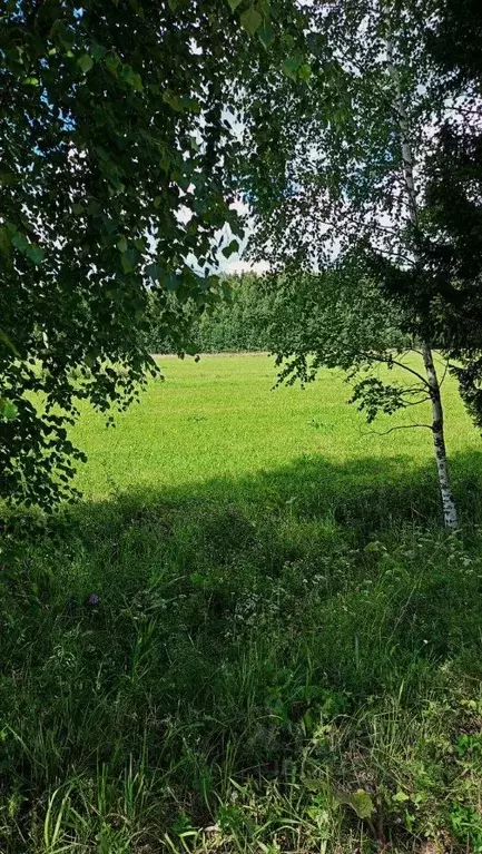 Участок в Пермский край, Пермский муниципальный округ, д. Буланки ... - Фото 2