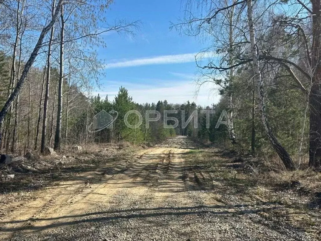 Участок в Тюменская область, Тюменский район, с. Каменка  (20.0 сот.) - Фото 0