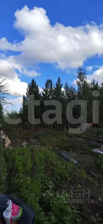 Участок в Ханты-Мансийский АО, Сургут № 2 садовое товарищество, ул. ... - Фото 0