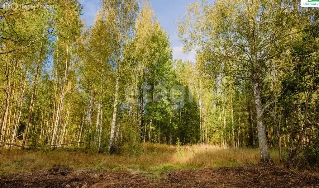 Участок в Ленинградская область, Всеволожское городское поселение, КП ... - Фото 2