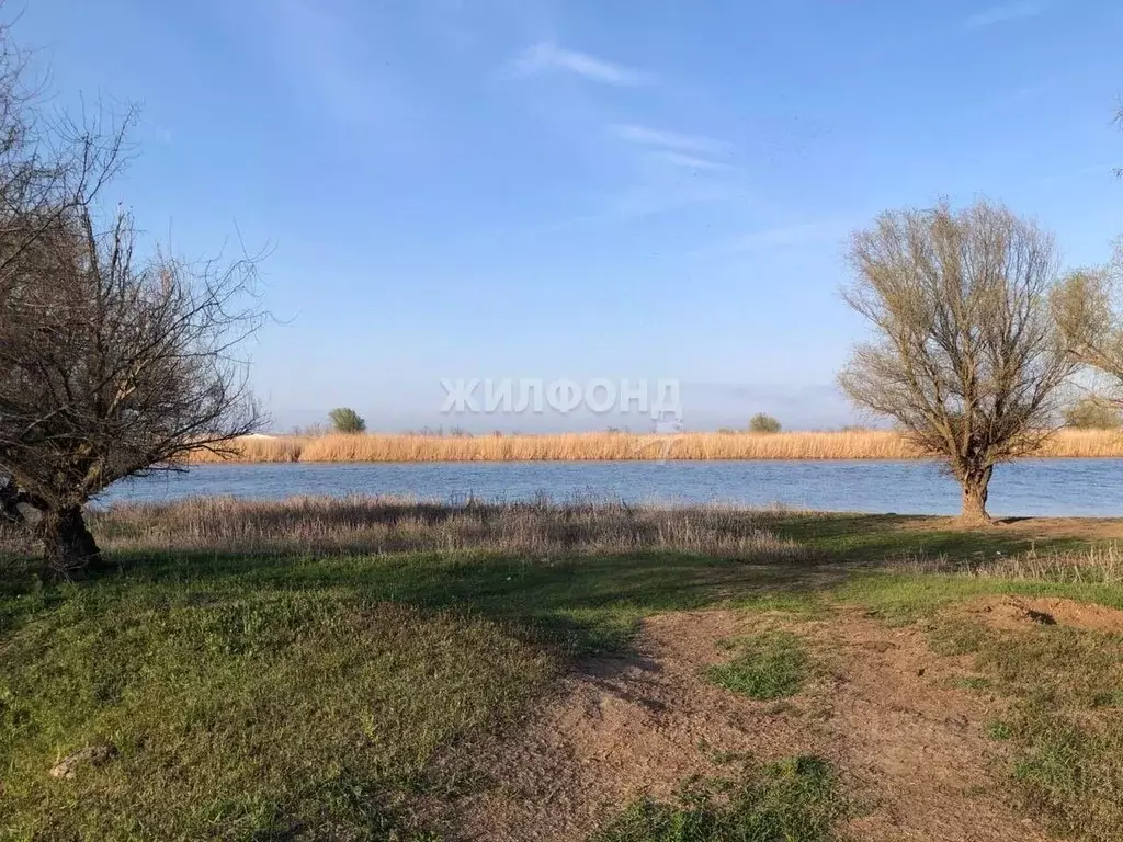 Участок в Астраханская область, Камызякский район, с. Полдневое  ... - Фото 1