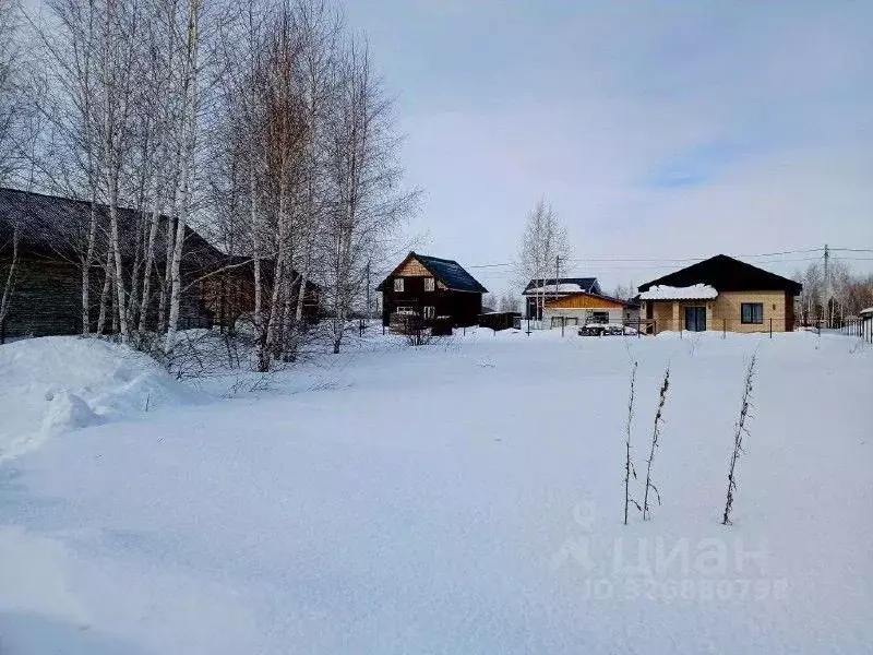 Участок в Новосибирская область, Новосибирский район, с. Верх-Тула ул. ... - Фото 2