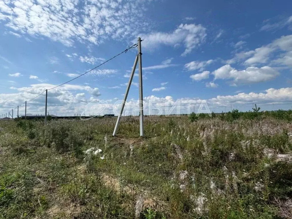 Участок в Тюменская область, Тюмень Царево садовое товарищество, ул. ... - Фото 2