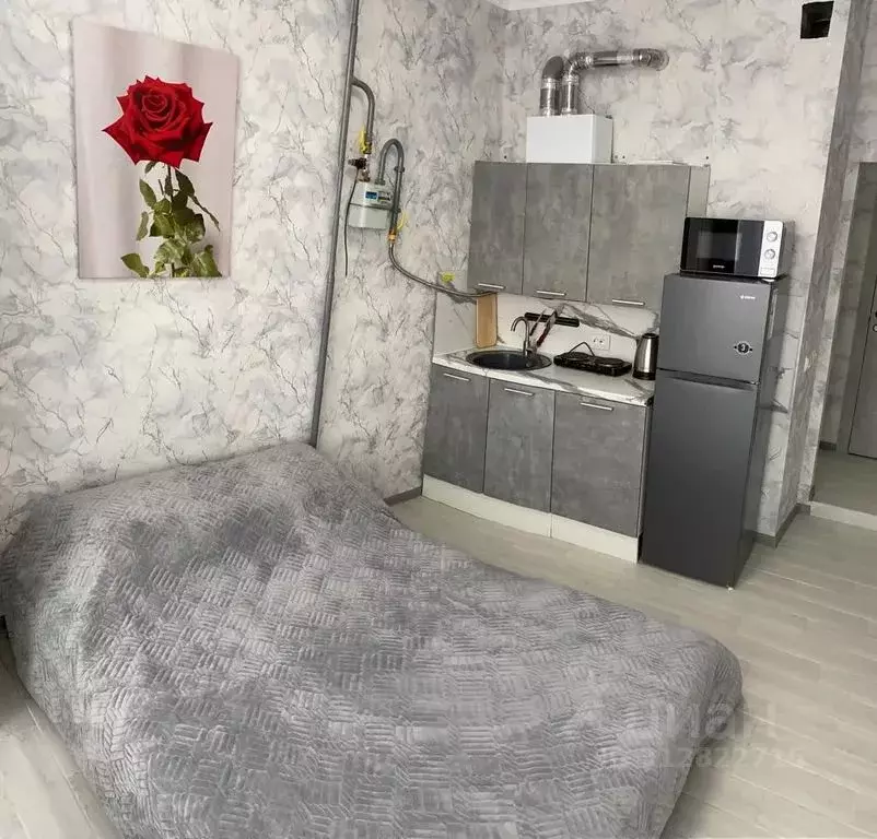 Студия Краснодарский край, Анапа Анапское ш., 30к3 (20.0 м) - Фото 1