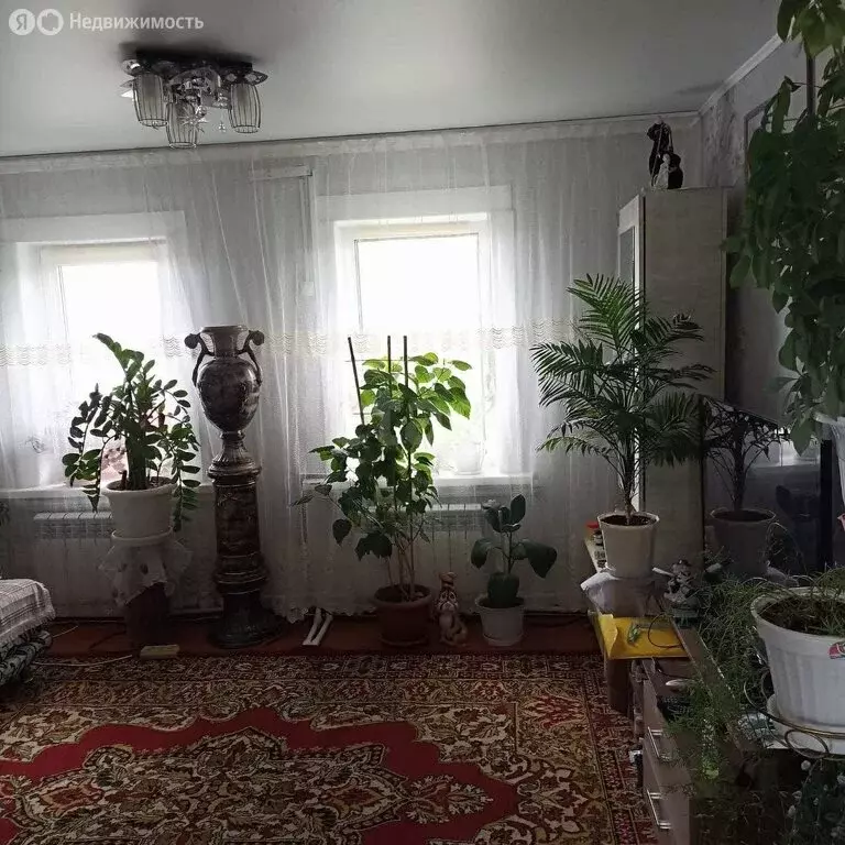 Дом в Миасс, Мостовой переулок (40 м) - Фото 2