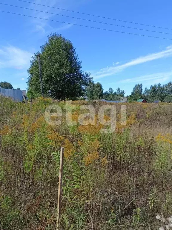 щекино полевой