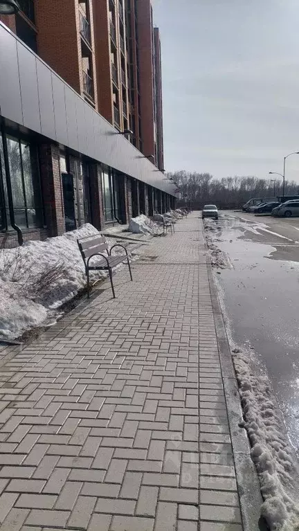 Офис в Новосибирская область, Новосибирск ул. Василия Клевцова, 3 (116 ... - Фото 1