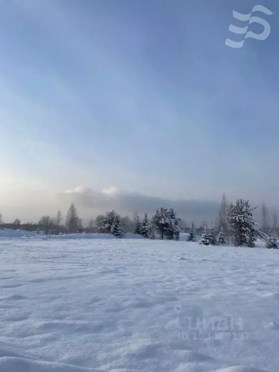 Участок в Ленинградская область, Всеволожский район, Лесколовское ... - Фото 0