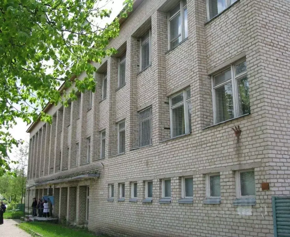 Помещение свободного назначения в Смоленская область, с. Ершичи ул. ... - Фото 1