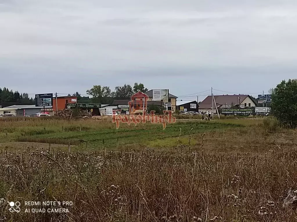 Участок в Владимирская область, Александровский район, Каринское ... - Фото 1