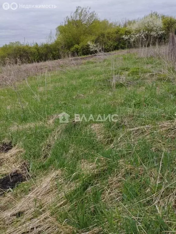 Участок в село Чертково, Набережная улица, 18 (15 м) - Фото 1
