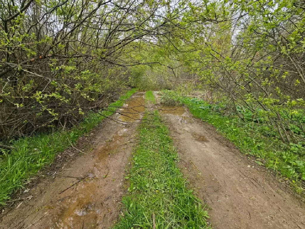 Продается участок в д. Першутино - Фото 2