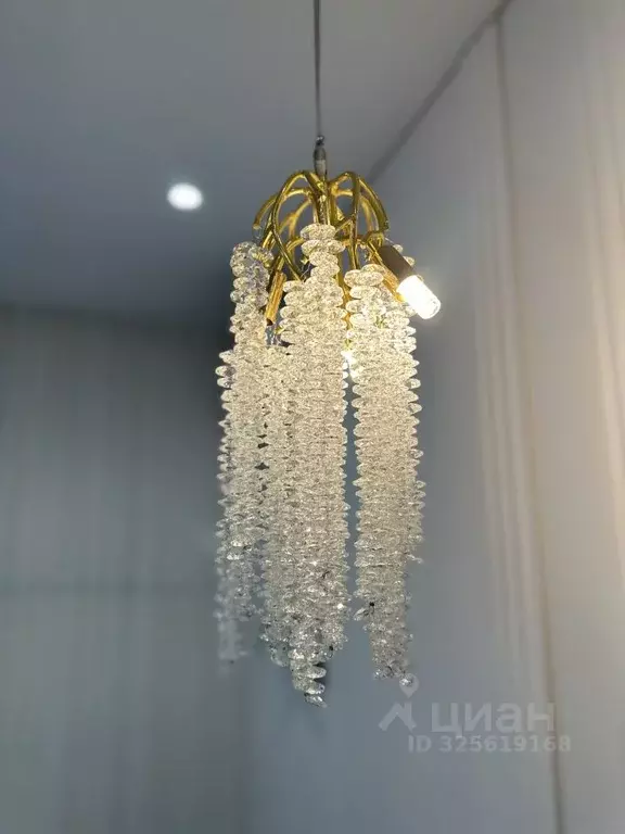 Студия Санкт-Петербург Дальневосточный просп., 23 (23.4 м) - Фото 2