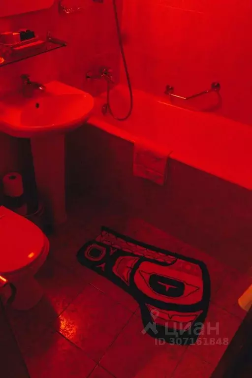 Комната Москва Спиридоньевский пер., 9С1 (27.0 м) - Фото 2