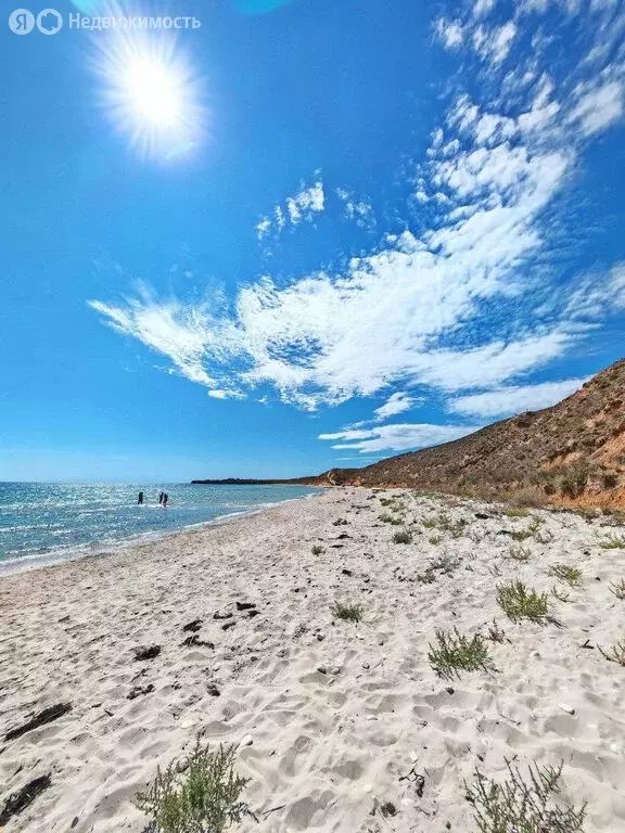 Участок в Сакский район, Молочненское сельское поселение, село Витино ... - Фото 2