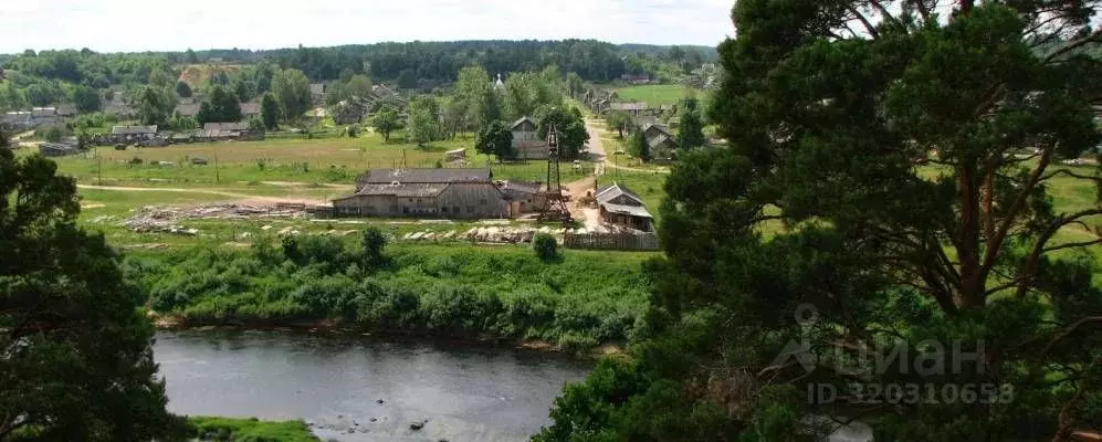 Дом в Новгородская область, Поддорский район, Селеевское с/пос, д. ... - Фото 2
