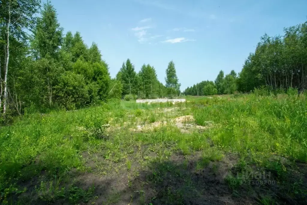 Участок в Ульяновская область, Ульяновский район, Ишеевка рп  (7.5 ... - Фото 1