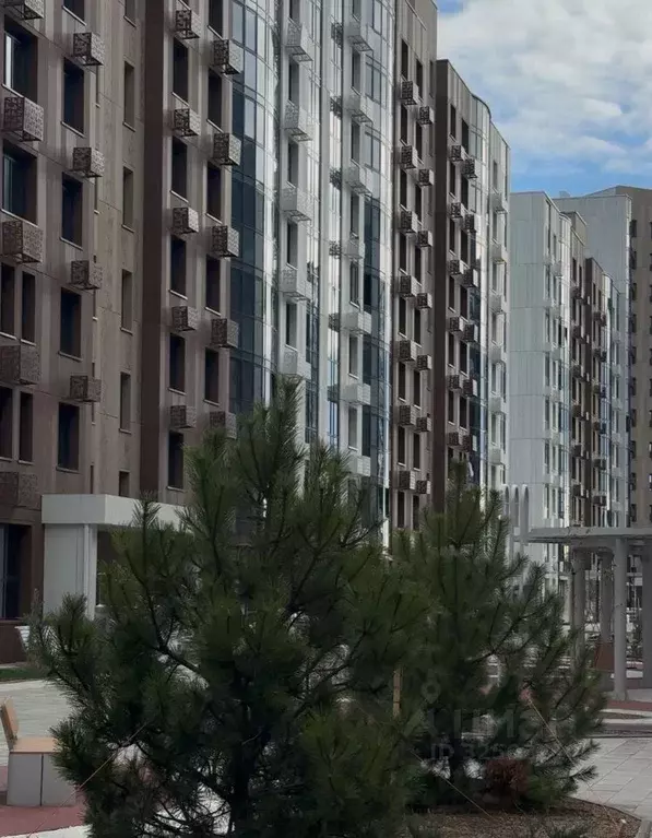 1-к кв. Краснодарский край, Анапа проезд Межсанаторный, 20/1 (33.2 м) - Фото 1