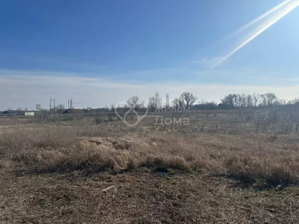 Участок в Волгоградская область, Городищенский район, Новонадеждинское ... - Фото 1