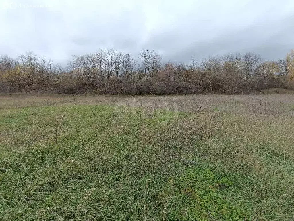 Участок в Добровское сельское поселение, село Краснолесье, Речная ... - Фото 1