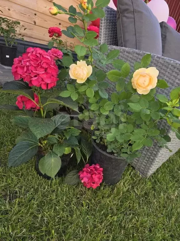 Дом в Тюменская область, Тюменский район, с. Перевалово проезд 3-й ... - Фото 1