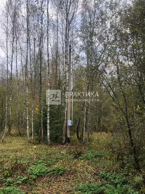 Продается участок в д. Сергеево - Фото 1