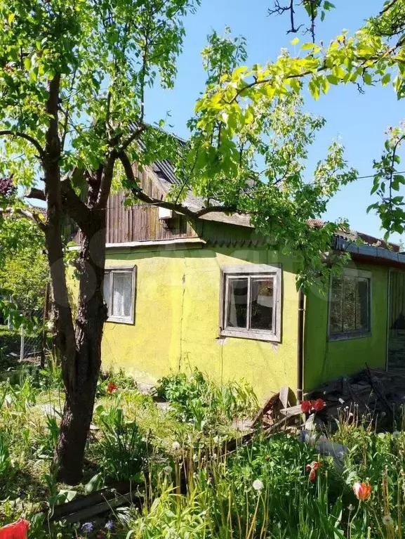 Участок 4,3 сот. (СНТ, ДНП) - Фото 0