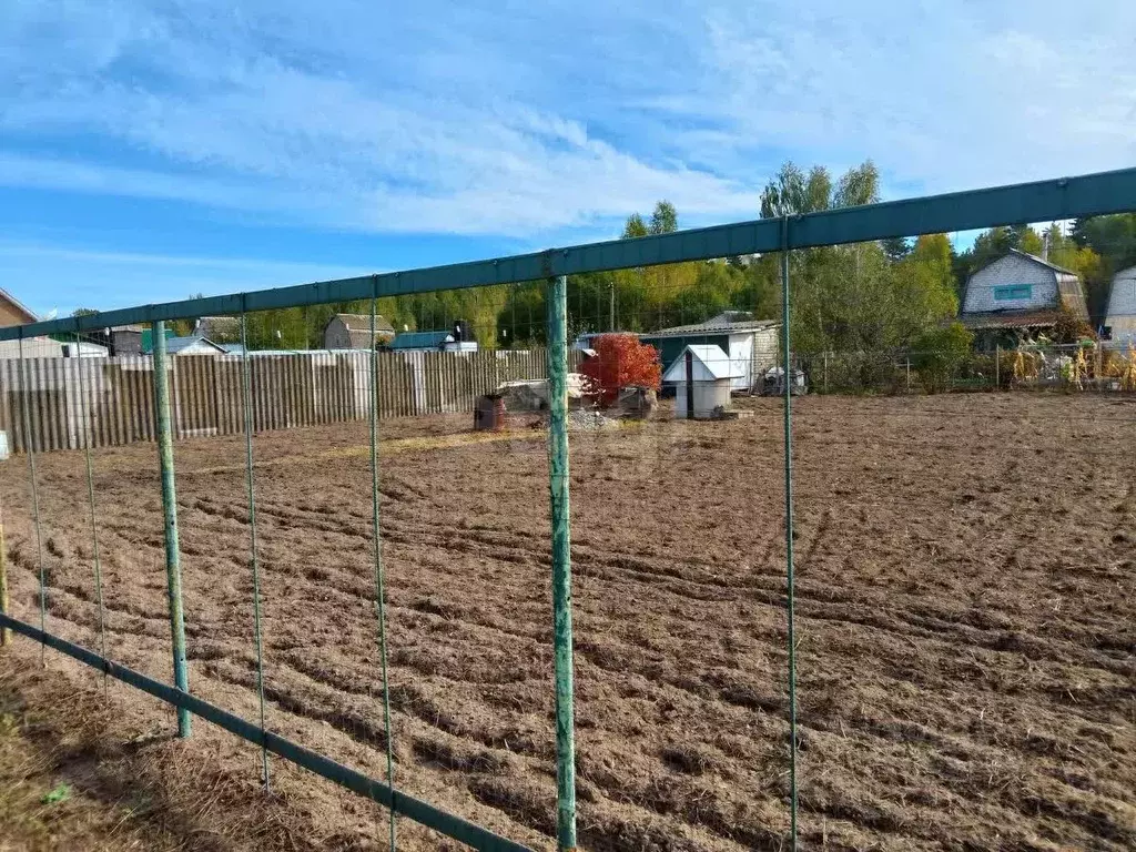 Участок в Брянская область, Брянский район, Нетьинское с/пос, ... - Фото 1