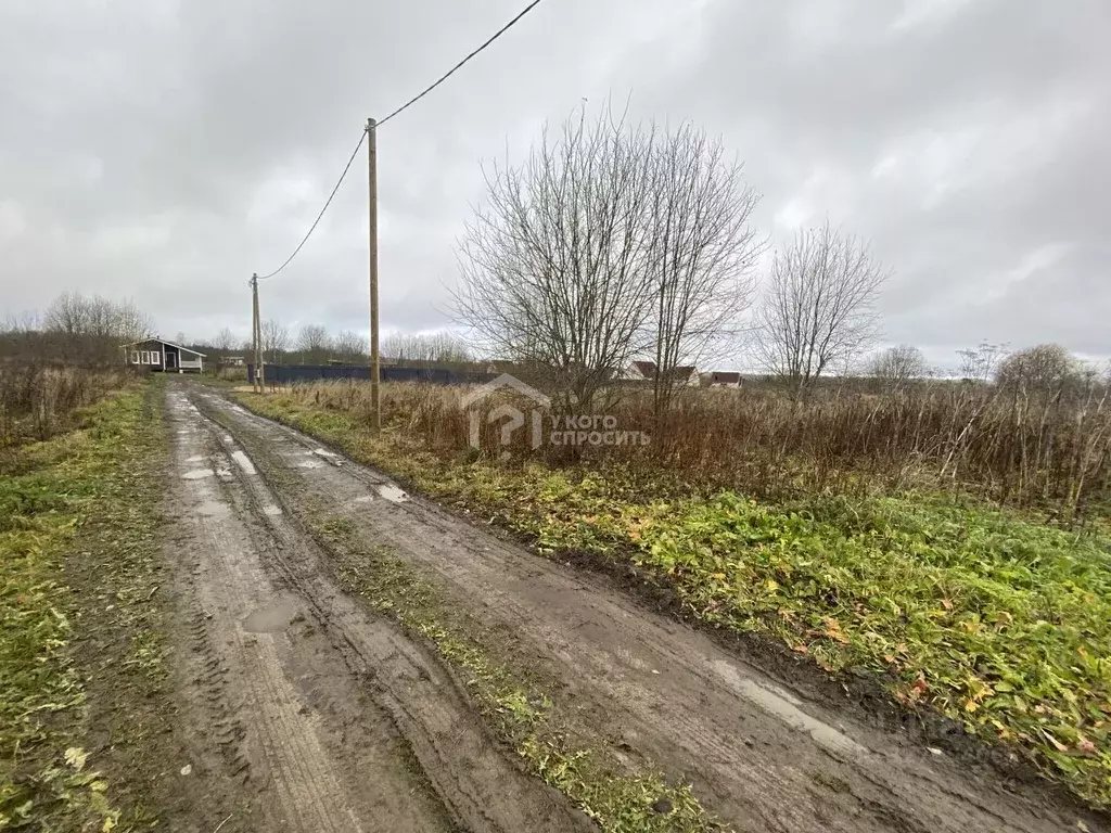 Участок в Ленинградская область, Ломоносовский район, д. Гостилицы ул. ... - Фото 1