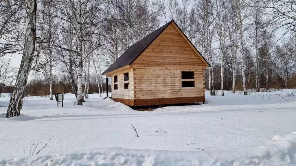 Участок в Новосибирская область, Коченевский район, Тальник СНТ ул. ... - Фото 2