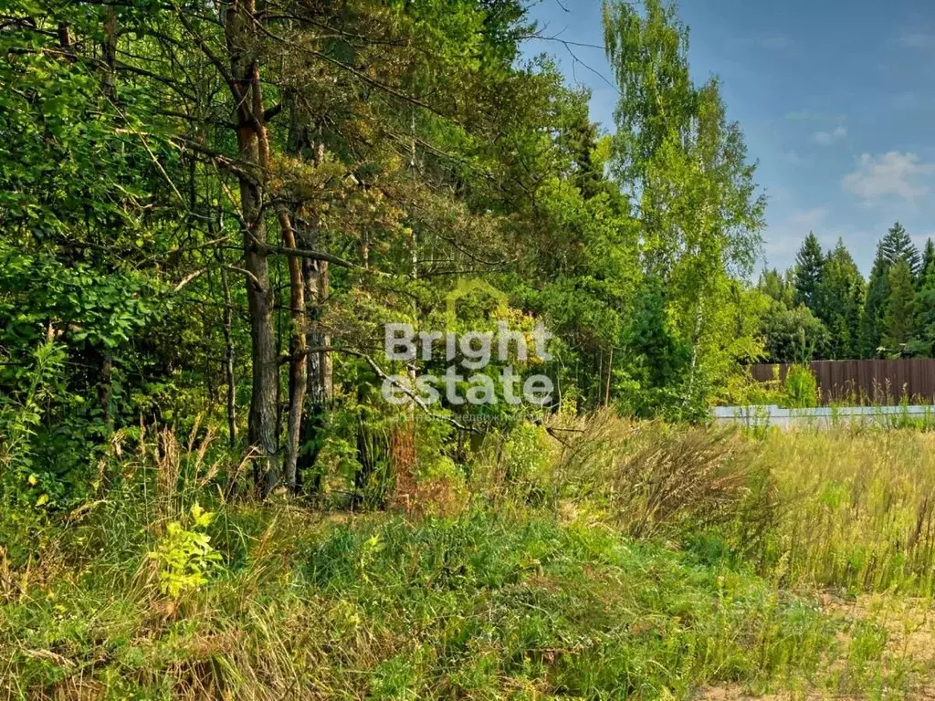 Участок в Московская область, Одинцовский городской округ, с. ... - Фото 1