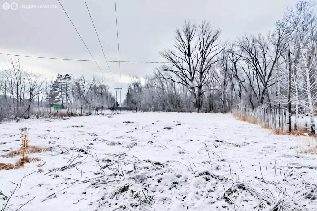 Участок в Оренбург, СНТ Родник, Лесная улица (14 м) - Фото 1