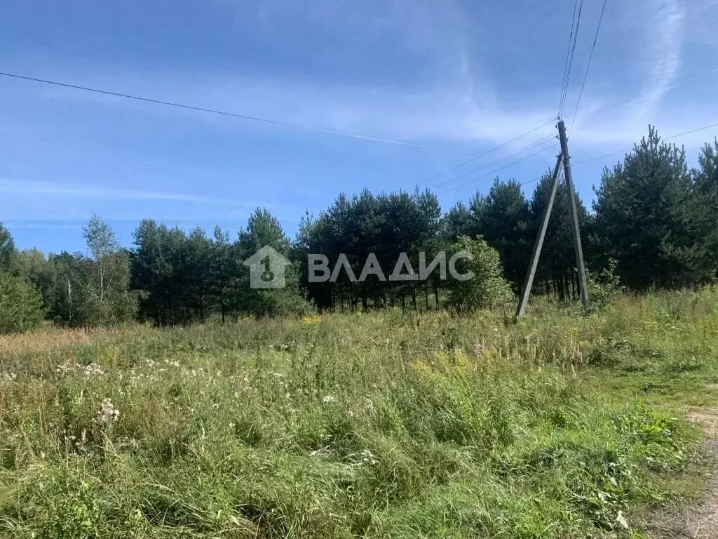 Участок в Владимирская область, Камешковский район, Второвское ... - Фото 0